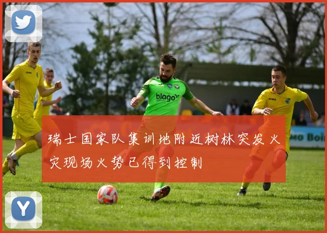 瑞士国家队集训地附近树林突发火灾现场火势已得到控制