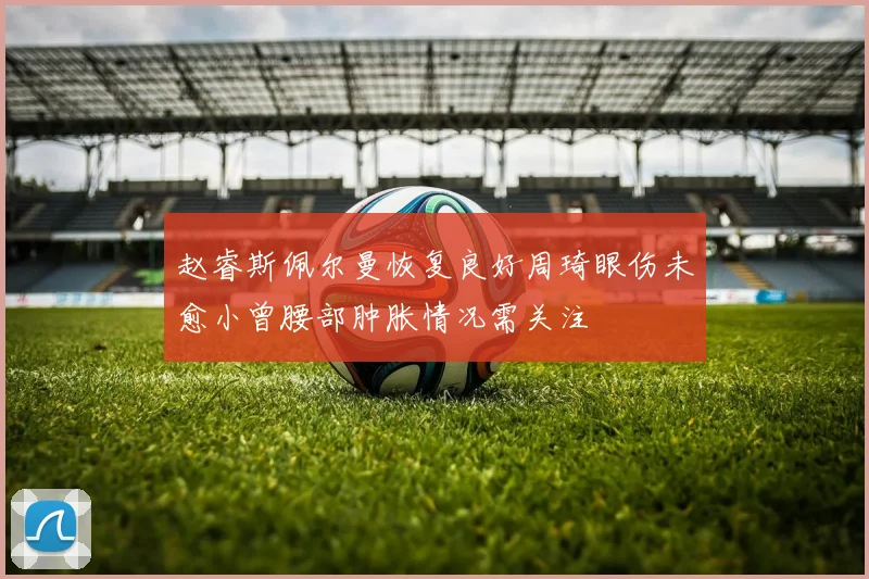 赵睿斯佩尔曼恢复良好周琦眼伤未愈小曾腰部肿胀情况需关注